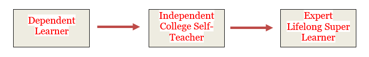 the journey to student as self teacher